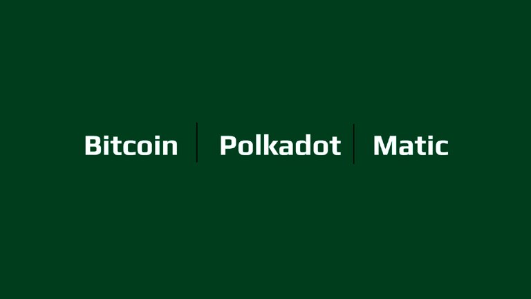 Bitcoin or Polkadot or Matic