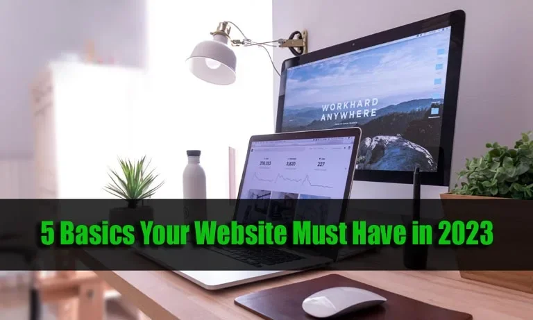 5 Basics Your Website Must Have in 2024
